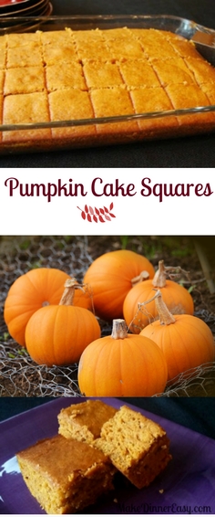 pumpkin cake squares recipe