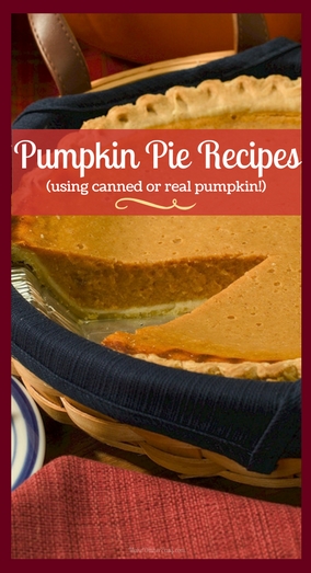 Pumpkin Pie Recipes using both canned or real pumpkin.