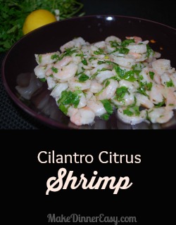 cilantro citrus shrimp recipe